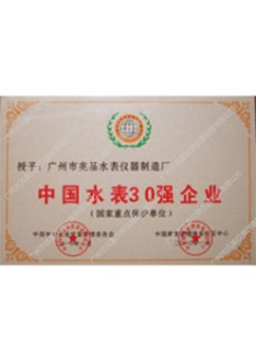中國水表30強企業